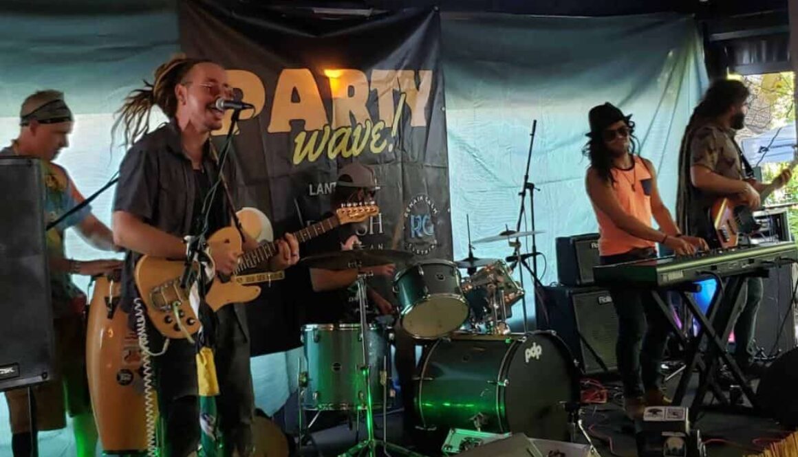 Vibes-Farm-2024-resized-scaled