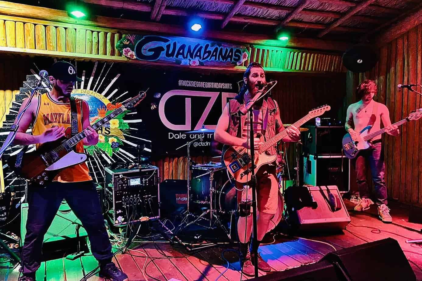 Dale and the ZDubs at Terra Fermata